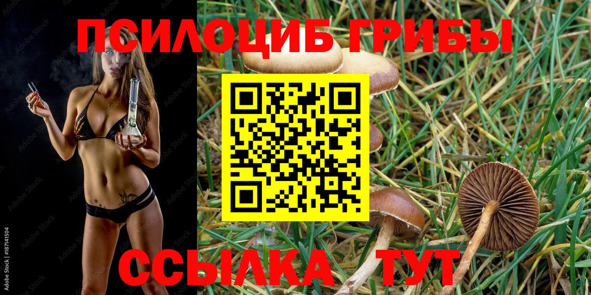 Тихорецк  Псилоцибиновые грибы Magic Shrooms  Вход с VPN 