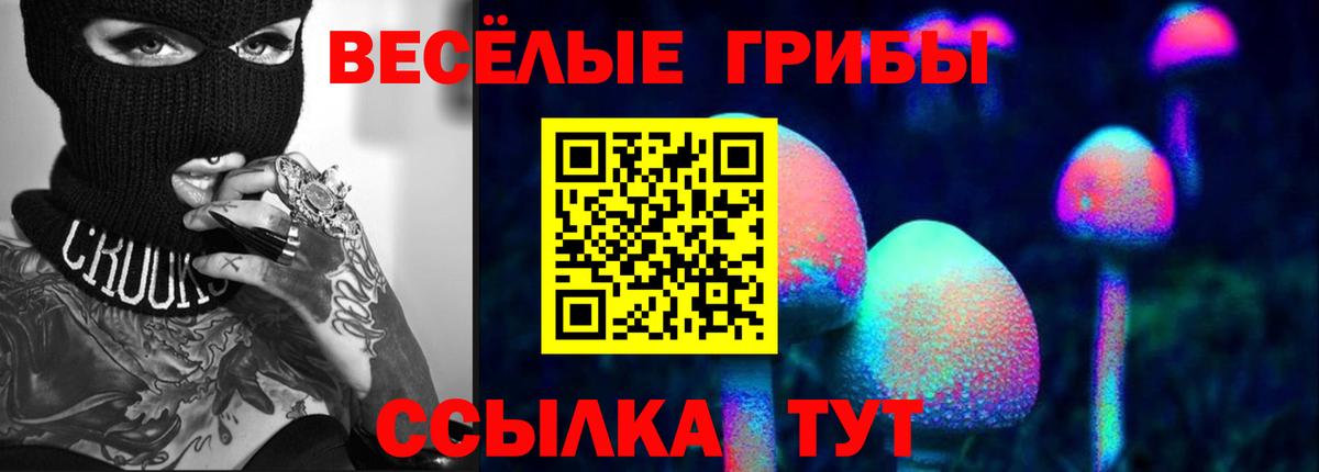Галлюциногенные грибы Psilocybine cubensis Тихорецк